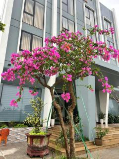 An Bình Hotel - 2