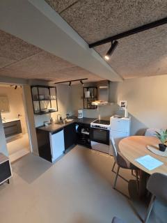 Lofoten Apartment 01 - 7