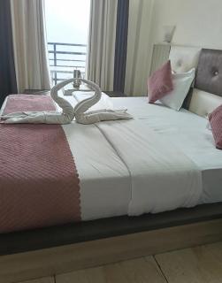 zaz dalhousie - 6