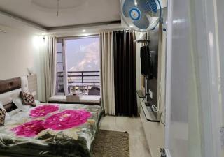 zaz dalhousie - 3