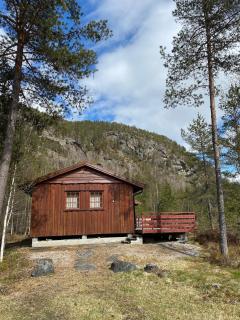 Hytte nær ferskvatn - 7