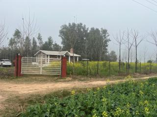 RajKamal's Farm - 5