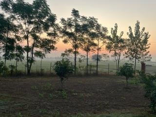 RajKamal's Farm - 2