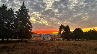 Herdman's Rest Farmstay - 0
