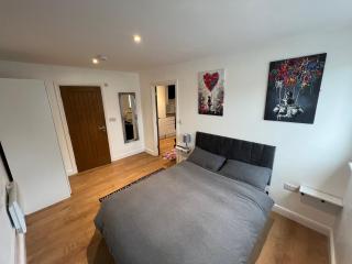Rentals Leicester 2 - Free Street Parking - 5