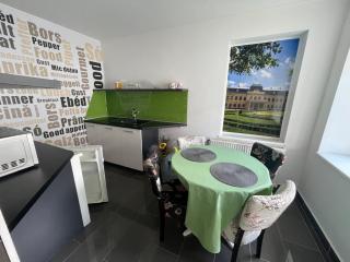 Regina Delux Apartman - 8