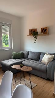 Apartman Jakovljević - 4