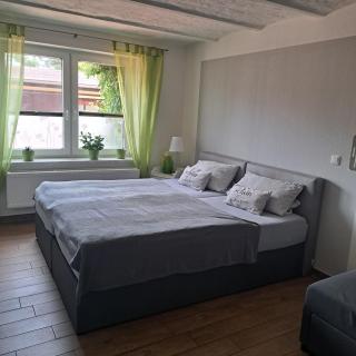 Ferienwohnung moderne Frische im Gewölbe - 4