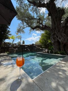 Villa Steana - 4