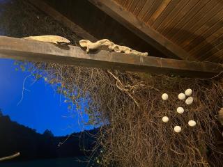 Korana Hideaway - 4