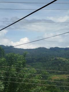 Mount crest homestay - 7