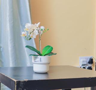Countryside Apartment 1 - 1