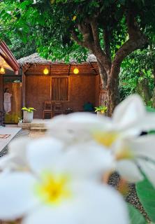 Casa Cayena - Tangalle - 9
