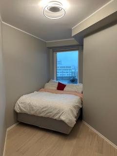 Apartment close to city center with 65 m2 balcony - 1