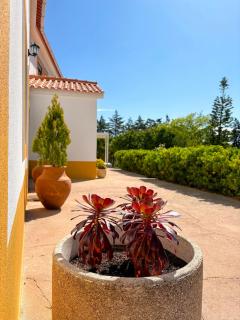 Quinta Vale da Paz - Azambuja - 4