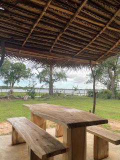 Foresta Yala - 2