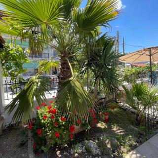 Kallisti House - 4