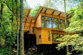 Casa inmersa en bosque de la Reserva Huilo Huilo - 0