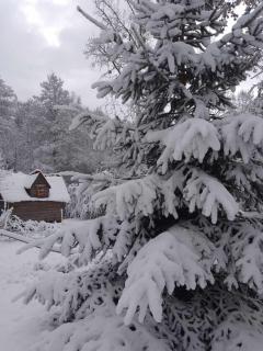 La cabane de Moïra - Xertigny - 1