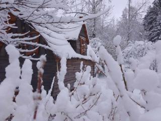 La cabane de Moïra - Xertigny - 7