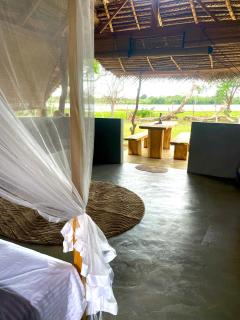 Foresta Yala - 9