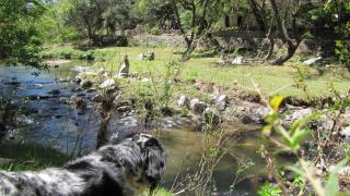 La Casona del Río - Valle Hermoso - 3