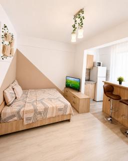 Quiet & Bright Studio - Available Monthly - 5