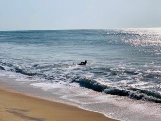 Arugam Bay Beach House - 3