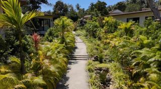 Arcana Wellness Center - Adults Only - 4
