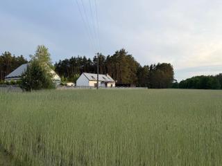Leśny Domek - 9
