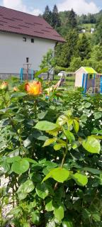 Voinescu House - Natural Living & Eating - 1