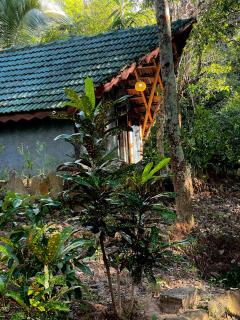 Eco Resort -Riverston - 0