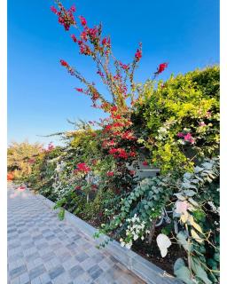 Abucho Rehmath Holidays Homes - 3