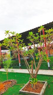 Abucho Acacia Hatta Holiday Homes - 6