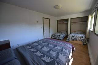 Equus Acres - 3
