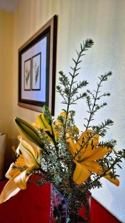 DoriVal Holiday Home - 1