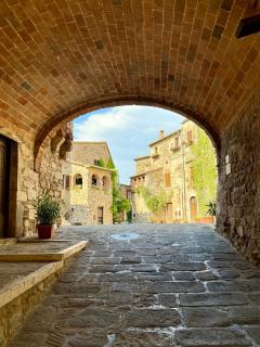 Elegant loft in the hills of Tuscany - 7