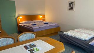 Apartmán Almberg - Mitterdorf - Mitterfirmiansrout - 3