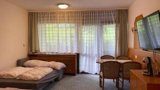 Apartmán Almberg - Mitterdorf - Mitterfirmiansrout - 2