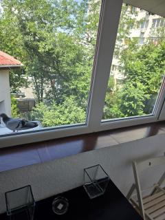SCP apartaments 6 - 6