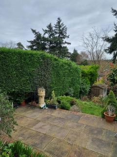 Beautiful ground floor 2 bed flat - 2