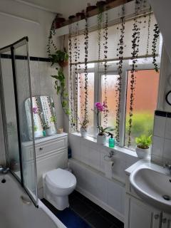 Beautiful ground floor 2 bed flat - 1