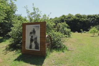 Relax with art and nature - 2