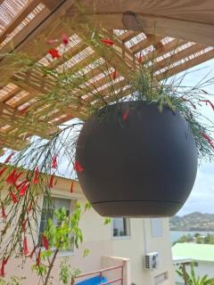 Grande Villa Tropicale au Robert avec Vue Mer, Terrasse, Clim - 1