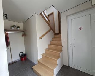 Bosanemoon - Spa & sauna - Omheinde tuin - te Durbuy - 1