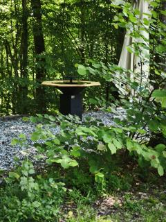 Waldseele - 5