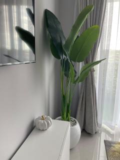 Cozy Nest - 2