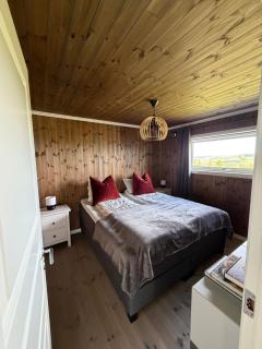 Family Cabin BUDOR - 60 MIN FROM OSL - SAUNA HEDMARKSVIDDA - 3