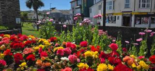 Blue Lagoon Holiday ,Bude 79 - 7