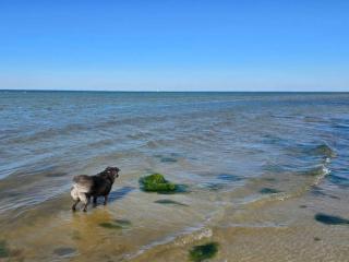 4 star holiday home in Nordborg - 7